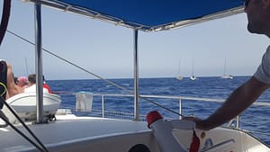 Boat trip-Excursions and activities in Tenerife