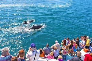 Excursions and activities in Tenerife 