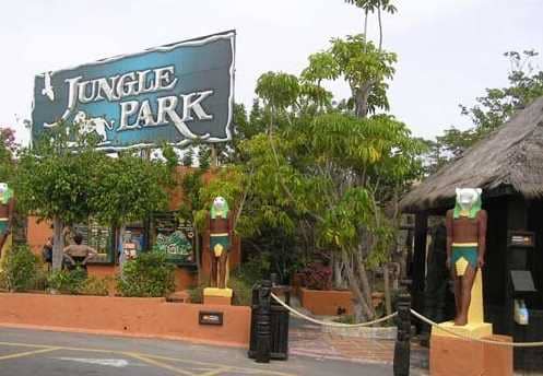 jungle park opening times