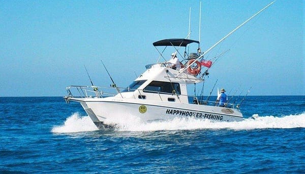 Happy hooker fishing trip tenerife