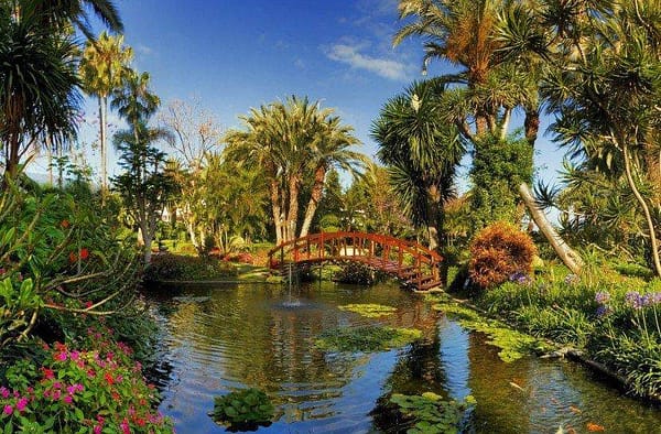 Puerto de la Cruz Tenerife Tour