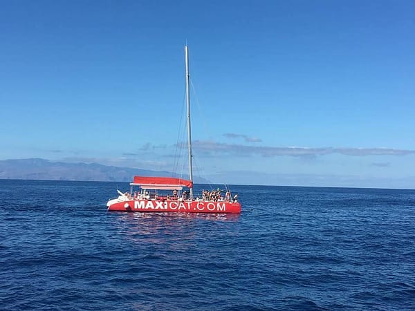Maxicat catamaran Tenerife